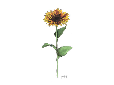 Sunflower Marker Drawing