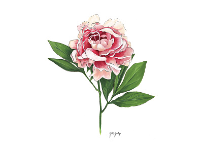 Pink Peony Marker Drawing