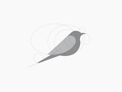 Process bird bird bird logo branding golden ratio illustration illustrator logo vector