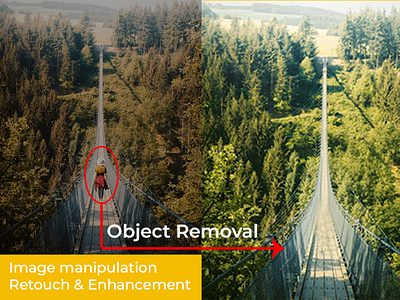 Image Manipulation