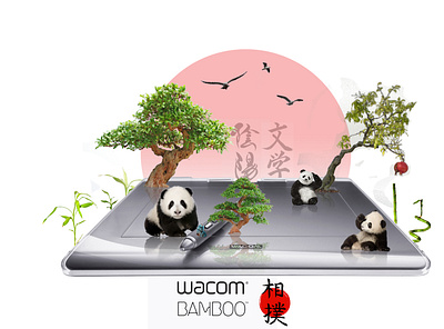 Wacom illustration brand design branding design graphic design illustration photoshop psd wacom
