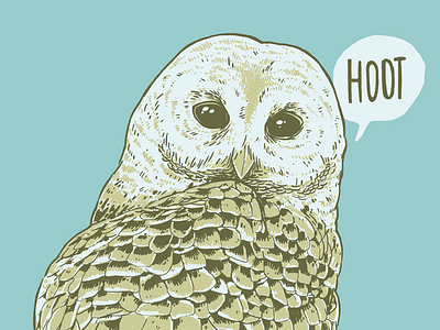 Bellroy Hoot doodle drawing hoot illustration owl photoshop wacom