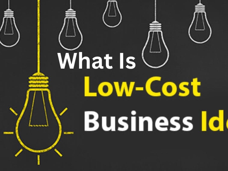 what-is-low-cost-business-ideas-by-daily-business-facts-on-dribbble