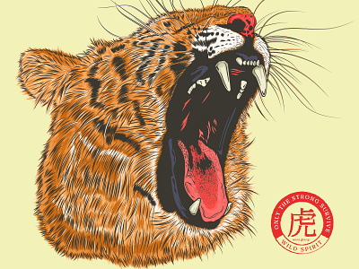 Tiger head stock illustration