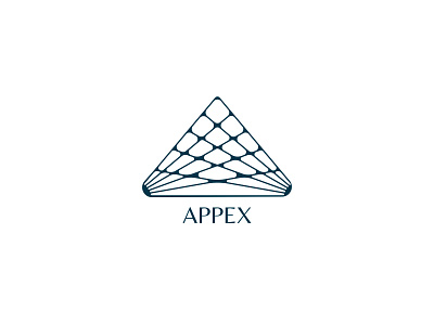 APPEX Company logo