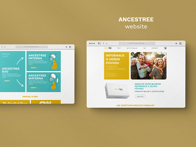 AncesTree WebSite