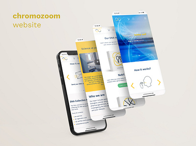 chromozoom website design graphic design illustration logo ui ux