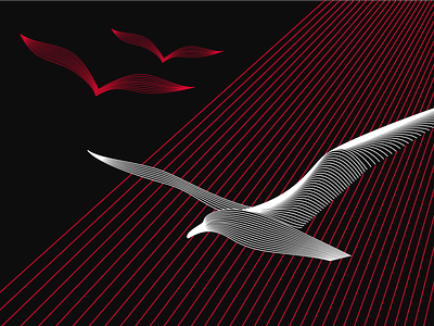 Brand identity for Allmetra albatross bird detail flying measure metal plane planes swiss zurich