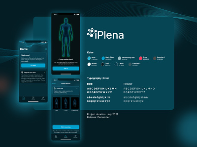 iOS App Development and Branding for iPlena brand identity corporate colors corporate fonts fitness app health and fitness health care app healthcare app healthcare logo healthcare project ios application development navy and blue navy branding
