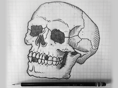 Skull Sketch black and white illustration memento mori pencil sketch skull