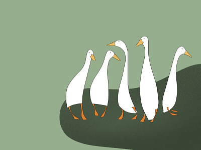 Five Ducks! design graphicdesign handdrawn illustration illustration art illustrations illustrator