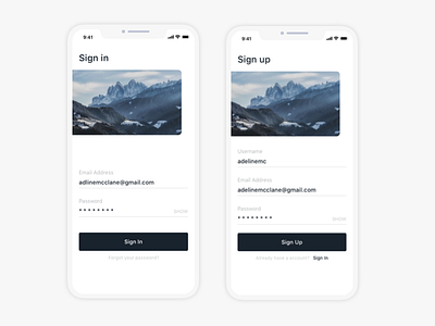 SignIn & SignUp Screen