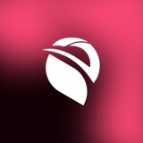 Awe Mobile App