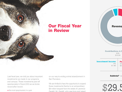 SPCA Report art direction chart dog financial fun graph grid report typography