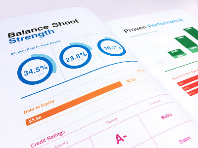 Balance Sheet bold book bright clean colors financial fun graphs helvetica modern print report