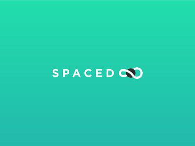 Dann Petty's Space Challenge - Branding branding logo spaced spacedchallenge