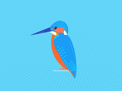 Day4 - Illustration 100daychallenge bird birds illustration