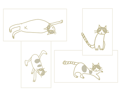 Day26 - Cat Sketch 100daychallenge cat graphicdesign illustration