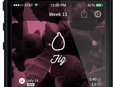 Preggo flat fruit ios iphone app pregnancy ui wip