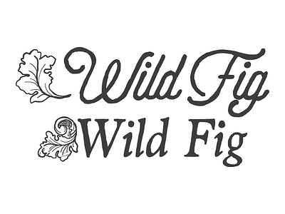 Wild Fig Logo Sketches branding catering fig leaf wip