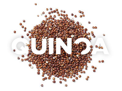 Beans & Grains feature food grains hero