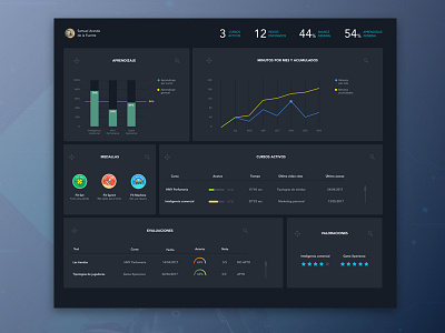 User Dashboard