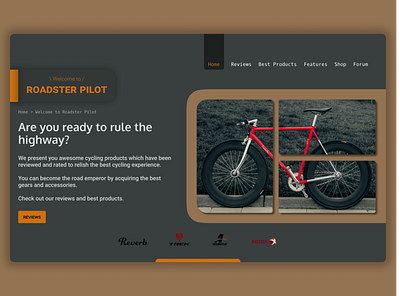 ROADSTER PILOT bike design graphic design ui ux web