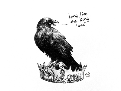 Kings Raven amsterdam crown game of thrones kingsday raven