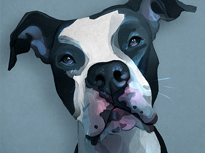 Georgia dog illustration photoshop pitbull