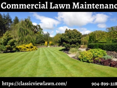 Commercial Lawn Maintenance By Classic View Landscape Services On Dribbble   Commercial Lawn Maintenance 