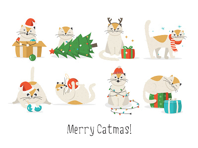 Merry Catmas! cat christmas christmas ball gift box illustration vector