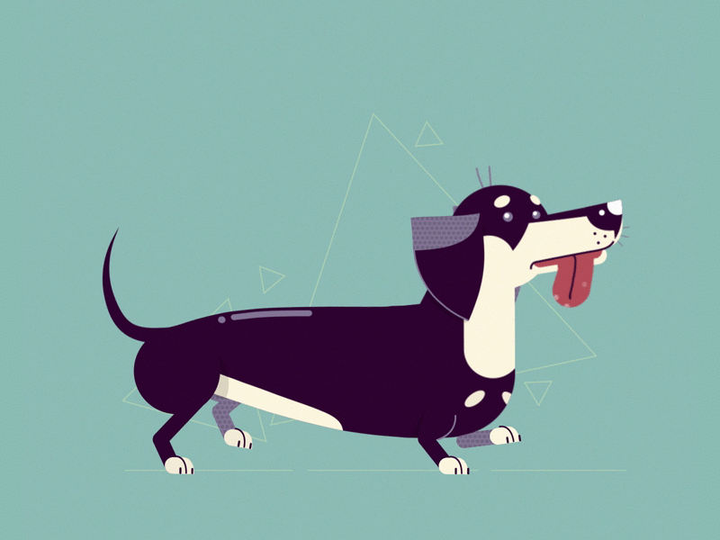 Silly Wiener-Dog 🌭