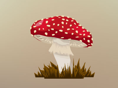 mushroom autumn mushroom