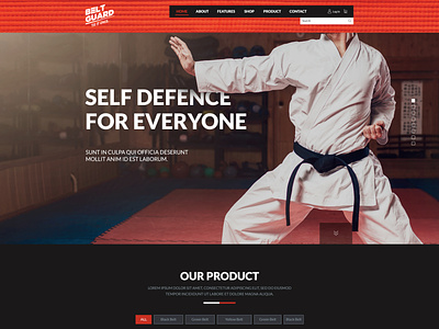 Belt Guard one pager website