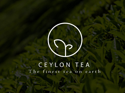 Ceylon Tea Minimalist Logo Design beautiful branding brandlogo business company design fiverr graphic design illustration logo minimal minimalist monogram tea tealogo unique
