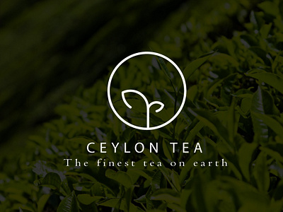 Ceylon Tea Minimalist Logo Design