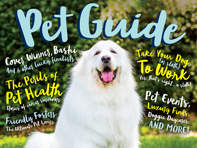 Pet Guide cover design dog editorial layout lettering magazine orlando orlando magazine pets publication typography