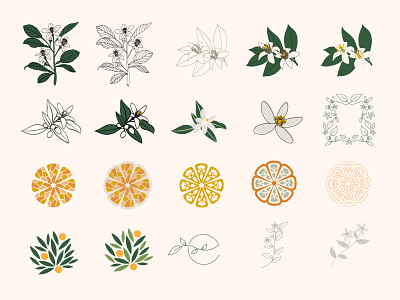 Ezelle Icon Study art direction branding citrus design floral flower graphic design icon illustration leaves logo orange blossom