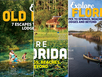 Orlando Magazine June Cover Comps