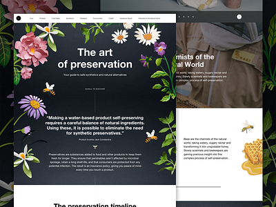 Lush | The Art of Preservation Hub cosmetics fresh handmade hub illustration interactive long form lush one page story