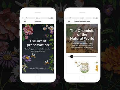 Lush | The Art of Preservation Mobile