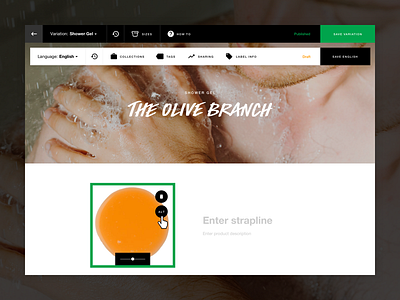Lush | CMS - Product Editor