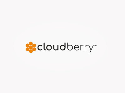 Cloudberry logo branding graphics identity logo logo brand mark typography
