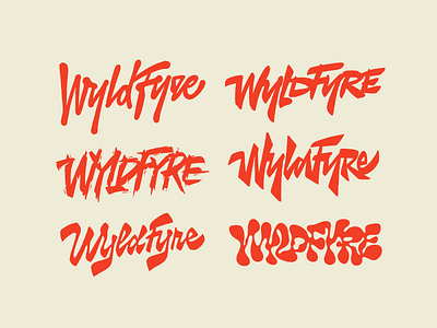 WyldFyre sketches calligraphy customtype handlettering handwritten lettering logo logotype type typemate typography