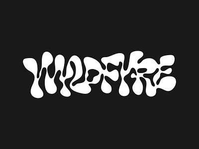 WYLDFYRE calligraphy customtype handlettering handwritten lettering logo logotype type typemate typography