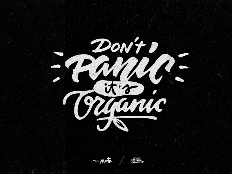 Sketches for T-shirt prints calligraphy danger organic panic print sketch street type typemate pro typography