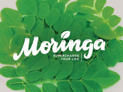 Moringa calligraphy green handwriting leaf lettering logo logotype moringa typemate