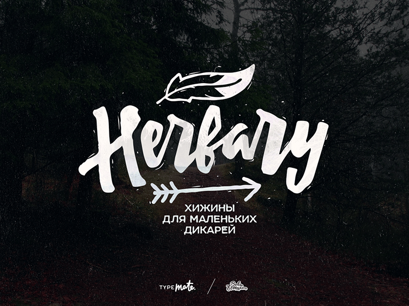 Herbary Logo calligraphy furniture handmade kids lettering logo logotype type typemate vovaegoshin wild wood