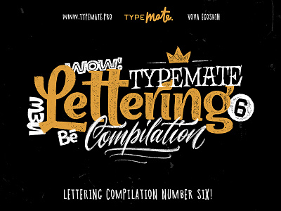 Lettering set #6 calligraphy customtype handlettering lettering logo logotype script typemate