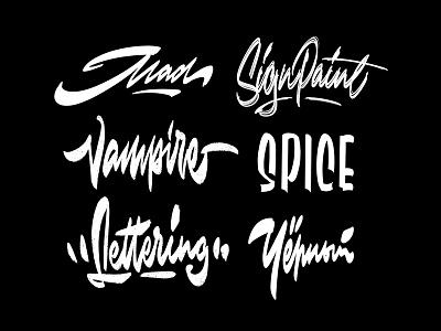 Brush Examples calligraphy casual hand lettering handlettering lettering logo logotype procreate procreate brushes script sketch typemate typography